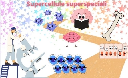 Supercellule superspeciali - Diventa una cellula staminale per un giorno