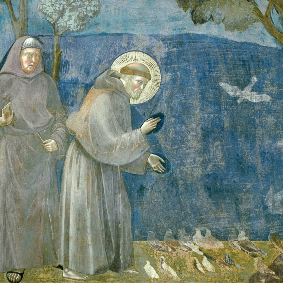 “Il dramma di Francesco”