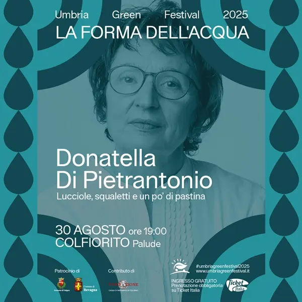 Lucciole, squaletti e un po’ di pastina