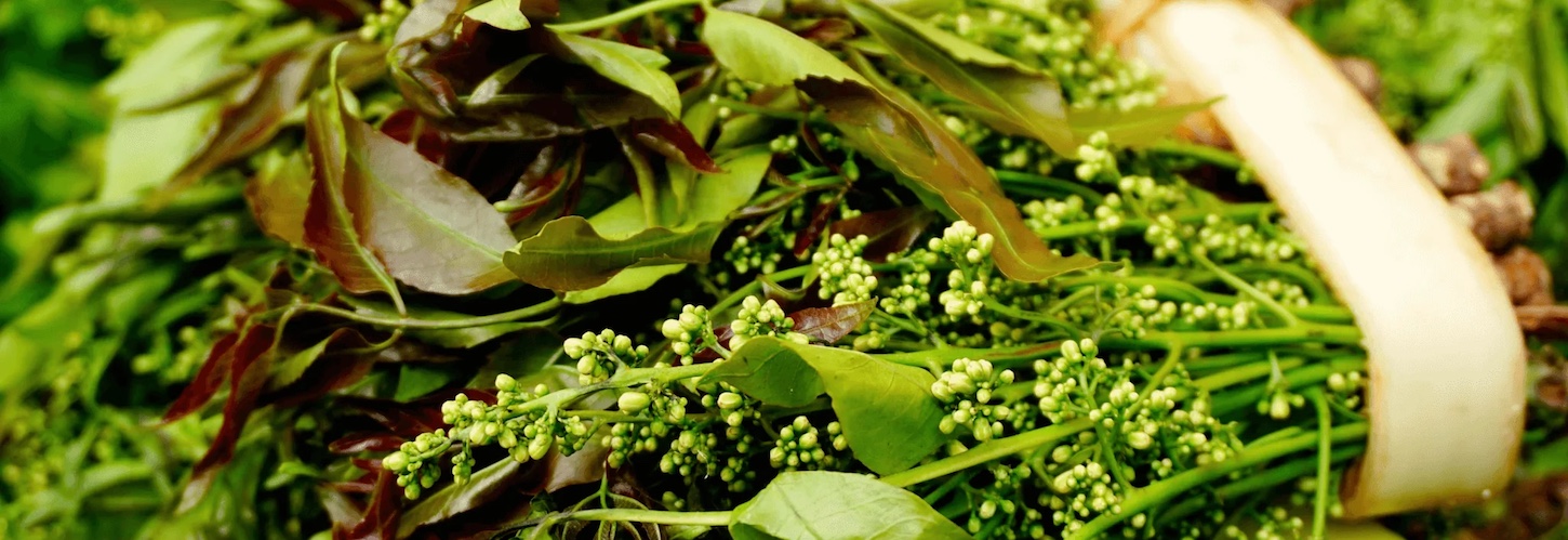 Chi racconta la scienza? Storie, poteri e memorie rimosse