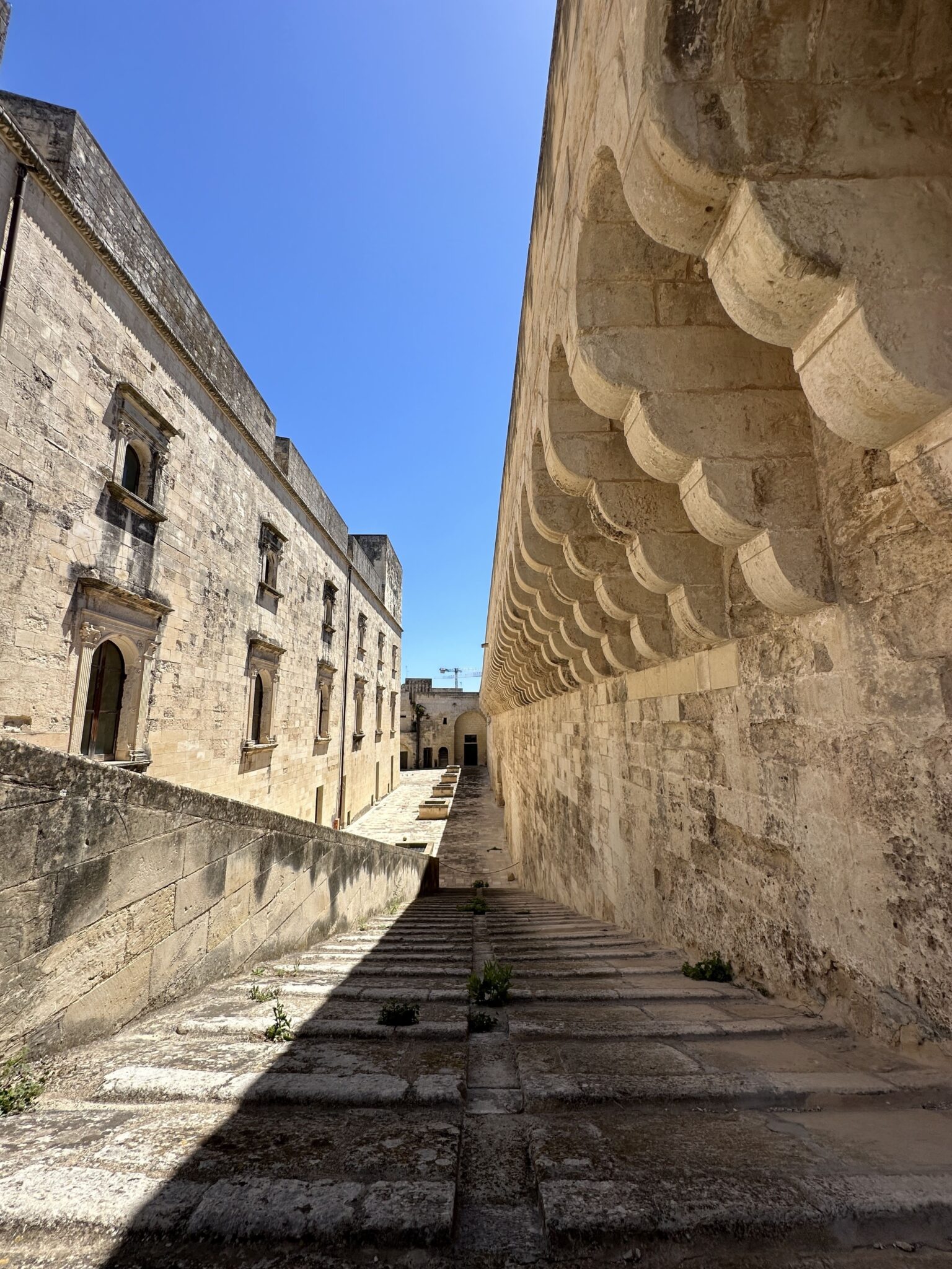 Alla scoperta di Carlo V