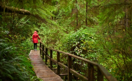 GreenME: la natura che cura - Ambiente, terapie e benessere mentale
