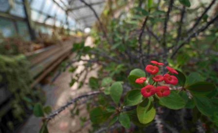 Intrecciando si impara - Viaggio tra le fibre vegetali e i loro usi