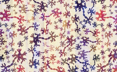 La fioritura dei neuroni - Come far sbocciare la nostra intelligenza