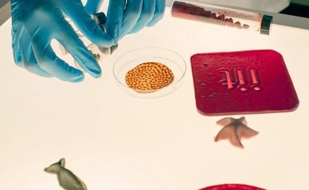 Tecnologie per la sostenibilità - La ricerca di oggi per un domani ecologico