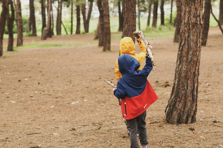 Laggiù, nel cuore della foresta