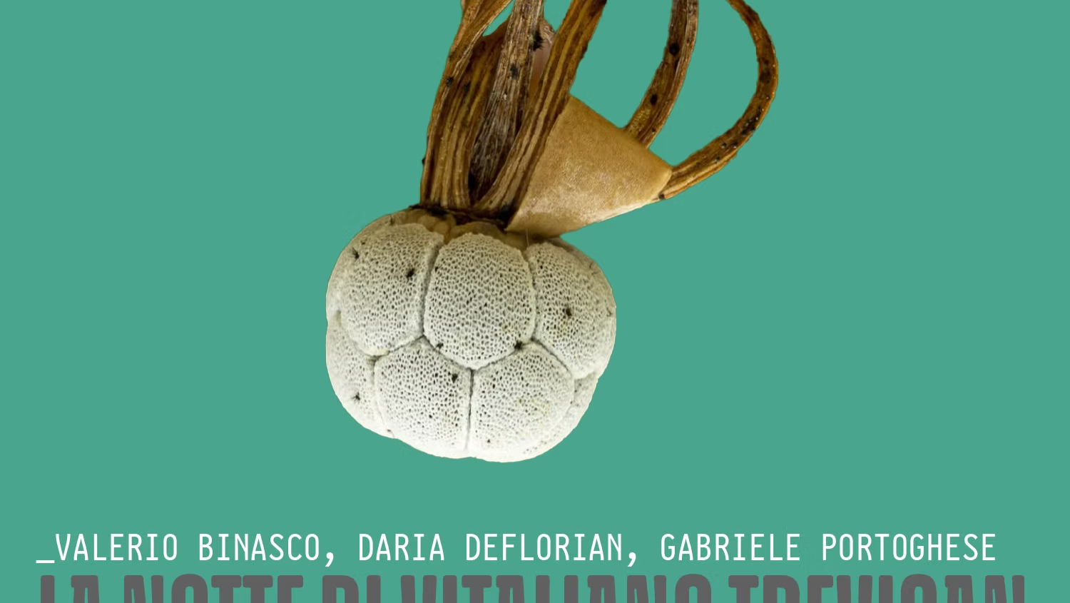 La notte di Vitaliano Trevisan