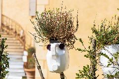 Teste fiorite, “Se invece dei capelli sulla testa ci spuntassero i fiori, sai che festa?”