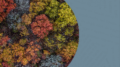 Un disordine armonico