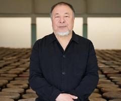 L’arte è libertà.