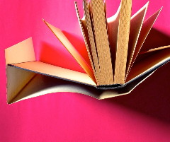 Tra il dire, il fare e il disfare