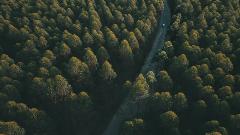 I padri sono come il brutto tempo: «Maledetti uomini» di Andrev Walden