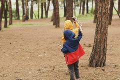 Laggiù, nel cuore della foresta